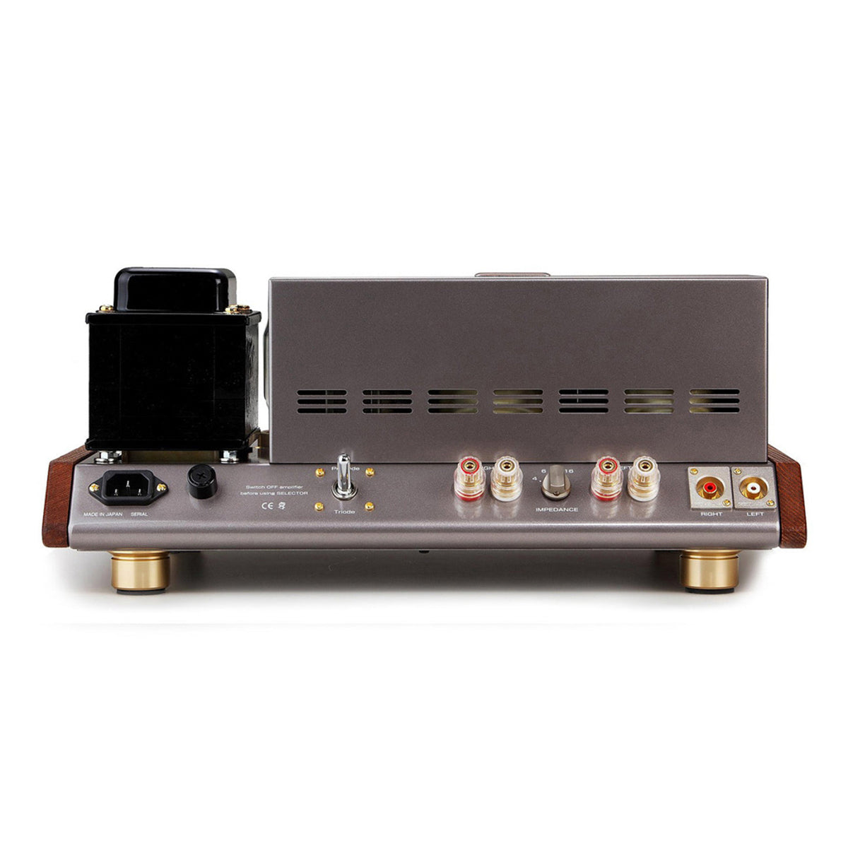 Leben CS-1000P Power Amplifier