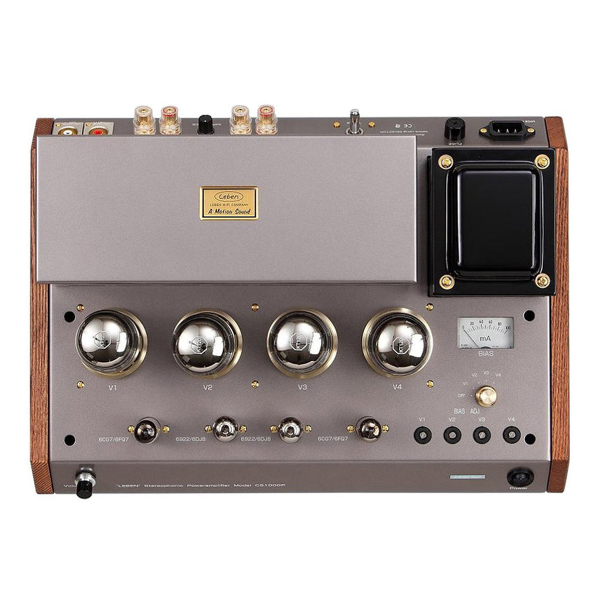 Leben CS-1000P Power Amplifier