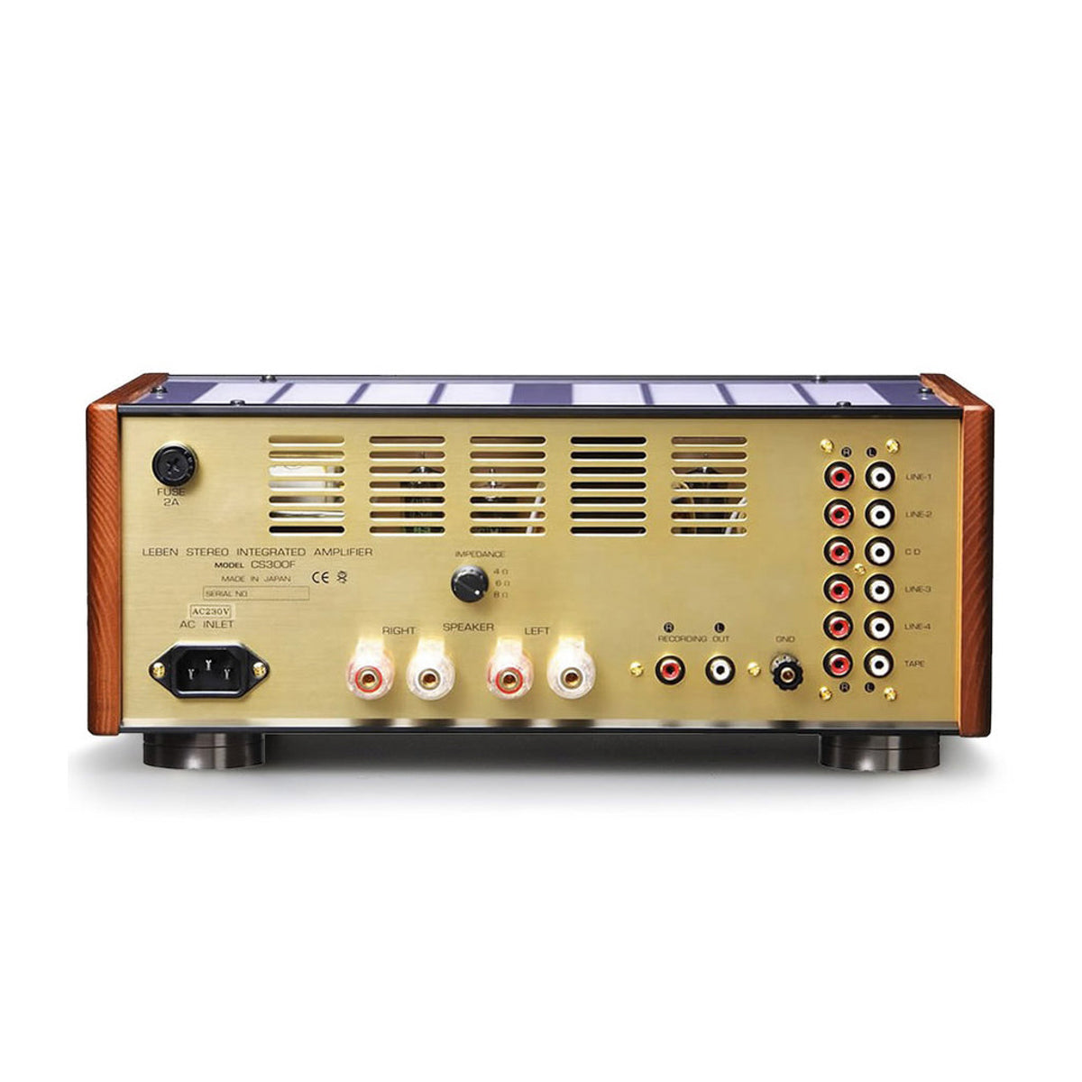 Leben CS-300F Pre-Main Amplifier