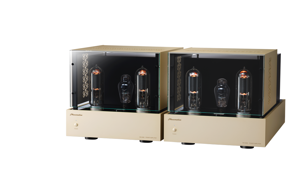 Phasemation MA-5000 WE-211 Monaural Power Amplifier