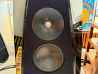 rockport technologies tweeter midrange