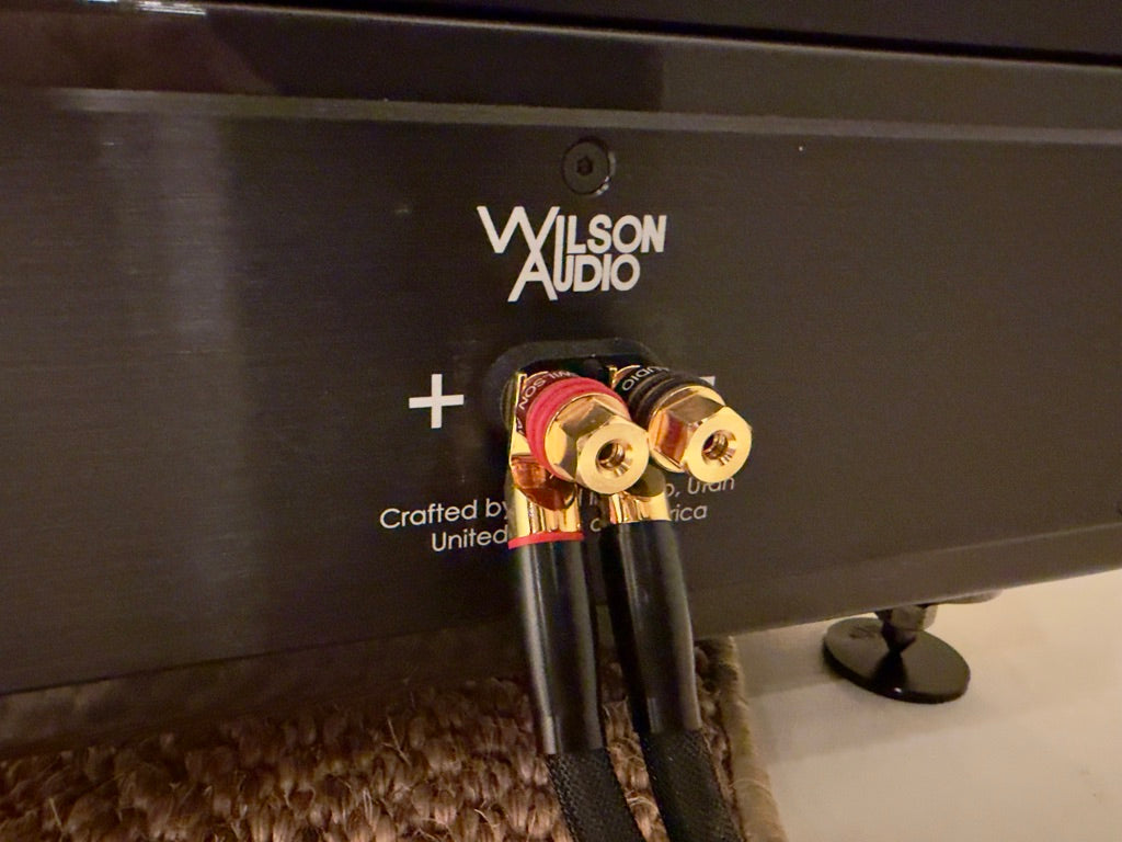 wilson audio chronosonic xvx system
binding post